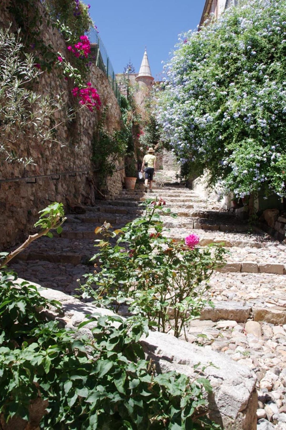 Le Palmae, Serenite Et Charme En Coeur De Ville Hyeres