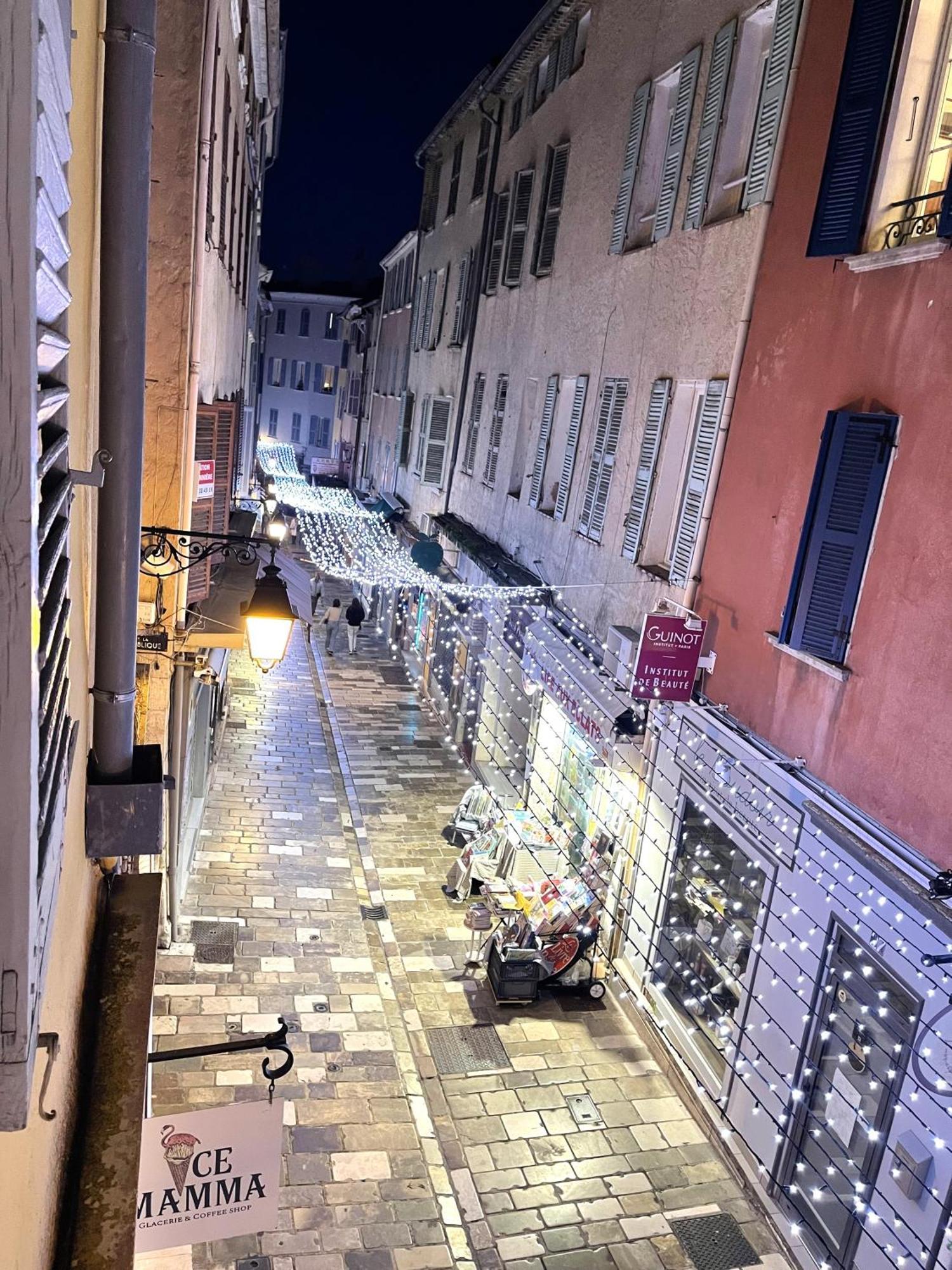 Le Palmae, Serenite Et Charme En Coeur De Ville Apartment *